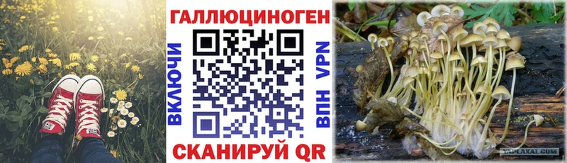 Галлюциногенные грибы Psilocybine cubensis  Павловский Посад 
